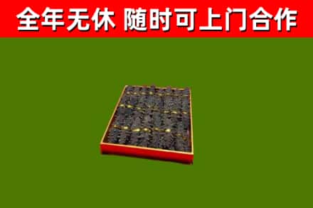 镇江市回收海参